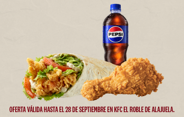 1 PIEZA DE POLLO, TWSTER, BEBIDA .