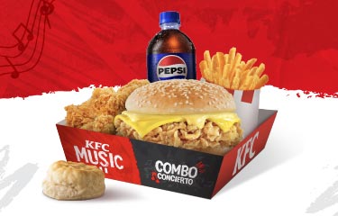 COMBO CONCIERTO.